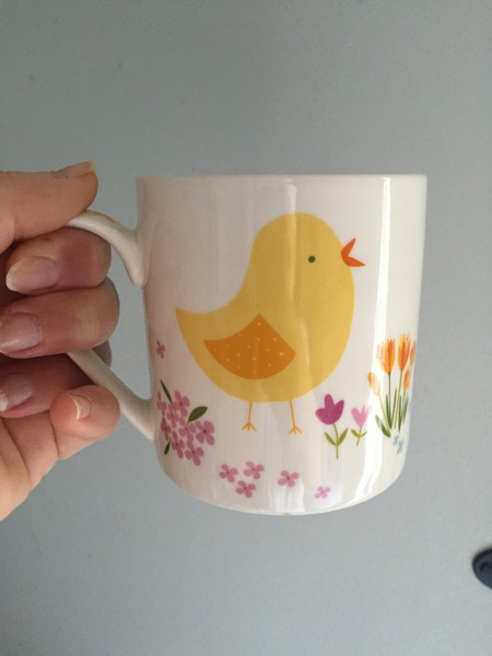 Let April Spring Cleaning with the Fledglings commence    (hopefully Dogsbum wont turn it into too much of a shower....)