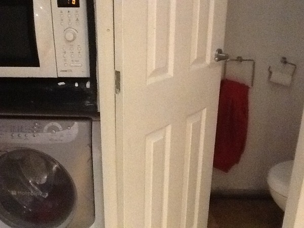 Downstairs toilet or dishwasher, what's more useful?