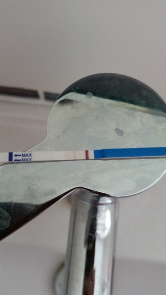 Our new greeting cards are here! We're making vaginal butter and baking in a sneaky shag from behind. Our skittletits can't hold us back - it's JS'ing 43!