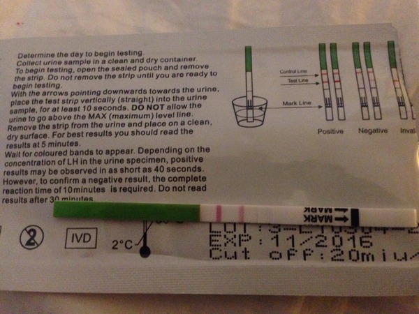 Positive opk y/n