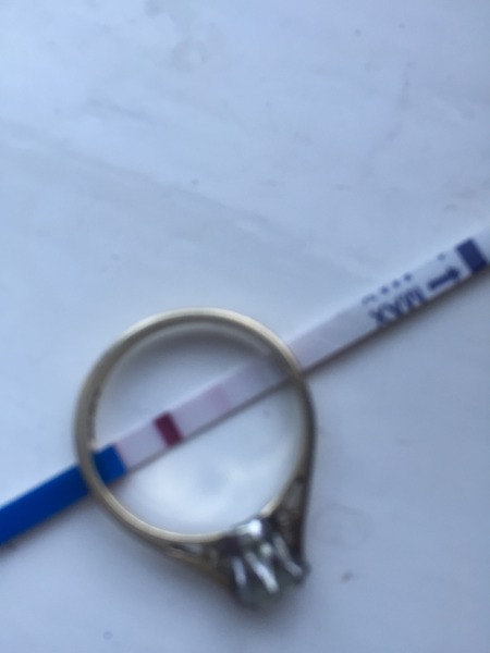 Bumsnetting Angry Pubes