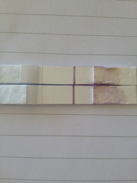 Recurrent Miscarriage Support Thread 21 - tests, treatment, trying again.