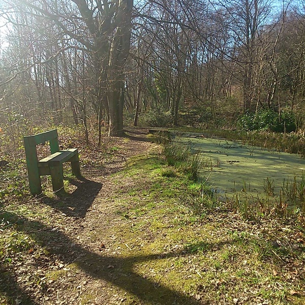 The Brave Babes Battle Bus - Shaking Off The Winter Blues And Getting Out Our Booze Free Summer Shoes!