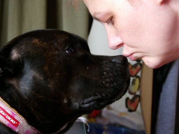 To wish dangerous dog breeds and all breeds closely resembling them were banned in UK?