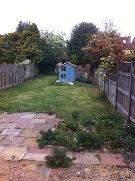Moving pear trees