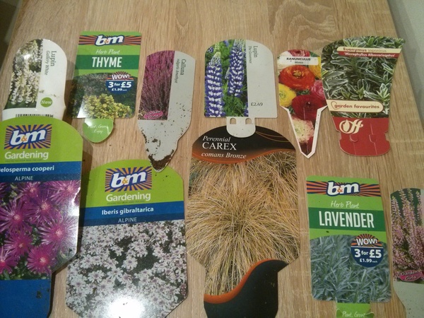 Will my garden grow??
