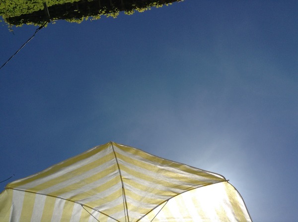 We aint no April Frugalling Fools.. There may be Showers ahead, but we'll sail through together ...