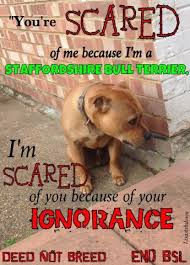 To wish dangerous dog breeds and all breeds closely resembling them were banned in UK?