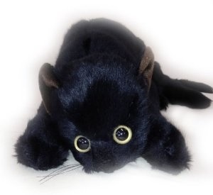 Who is being unreasonable re dog & cats?