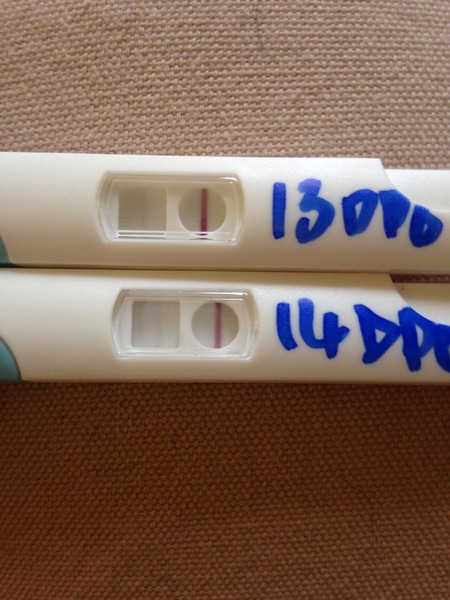 Pos FRERs but Neg CBdigi?