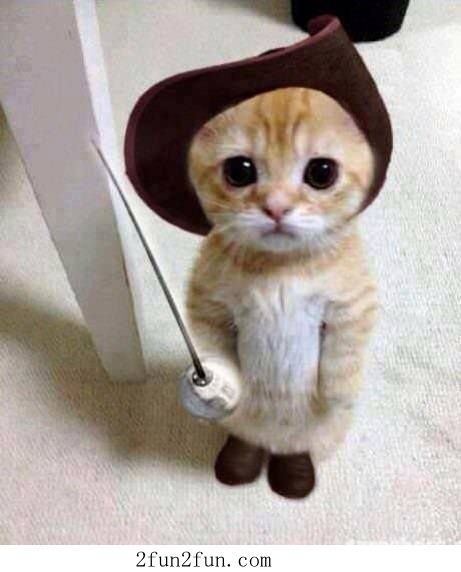 Swagger Inn: Thread 91. Just nobody mention the DVD extras, kay? <catsbum>