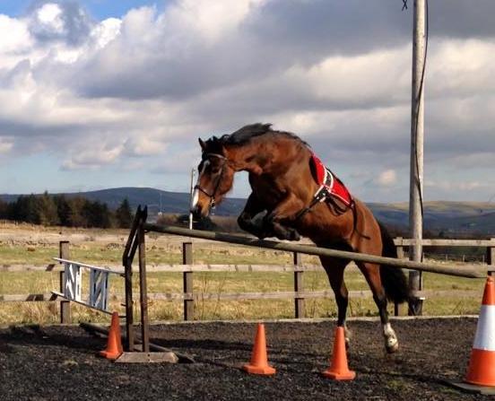 Loose jumping didn't exactly go to plan...