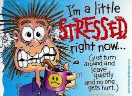 ... to wonder if the school holidays really have to be so long