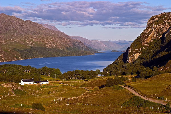 January 2014- the one where the babies move more, but sleep less!