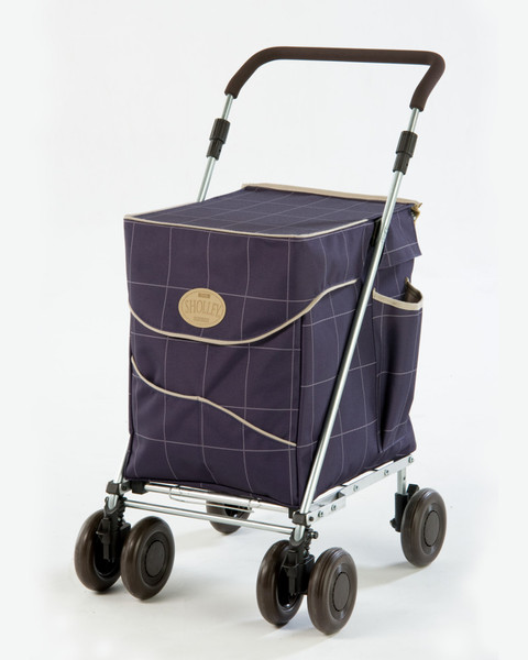 Selfishness with buggies on public transport
