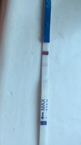 Bumsnetting Angry Pubes