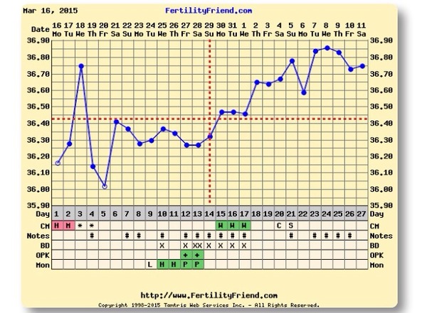 The Angry Pubes of Bumsnet