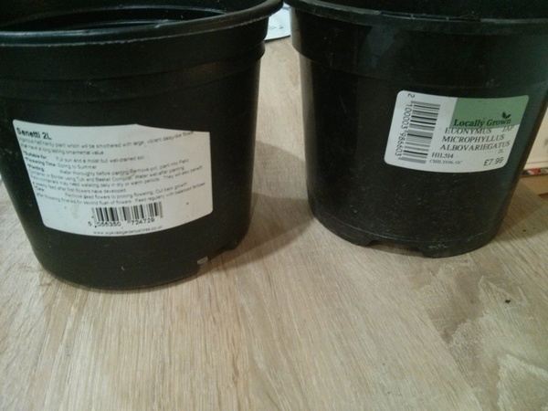 Will my garden grow??