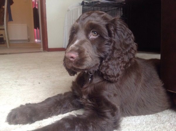 The Brave Babes Battle Bus - Shaking Off The Winter Blues And Getting Out Our Booze Free Summer Shoes!