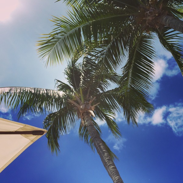 MN Vogue Vol. 57
