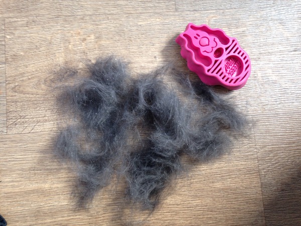 Dog brush for short thin coat