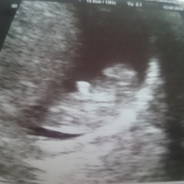 The November 2015 bus is back on the road, chugging through beautiful scan pic landscapes, picking up plenty of Dairyleas, muffins and whathaveyous on it's way!