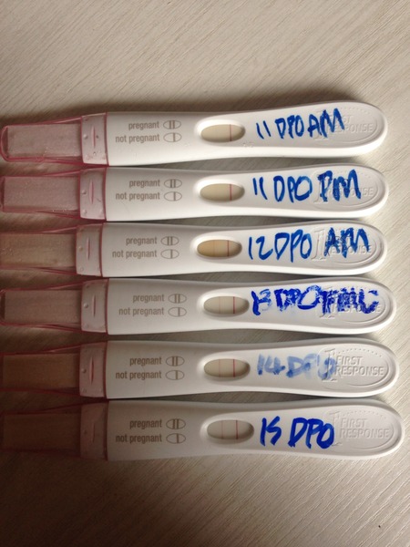 Pos FRERs but Neg CBdigi?
