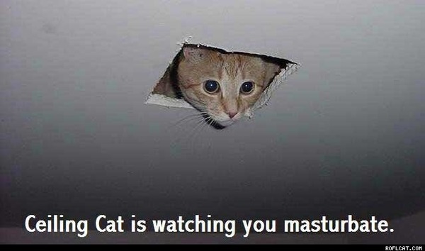 Home made vibrator tip - it is brilliant