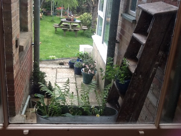 "In the spring, at the end of the day, you should smell like dirt."  This month's discussion in the potting shed.