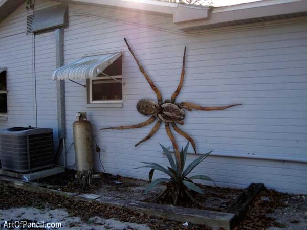 In thinking the garden centre should be more bothered and take the spidery yucca away?