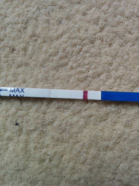 Our new greeting cards are here! We're making vaginal butter and baking in a sneaky shag from behind. Our skittletits can't hold us back - it's JS'ing 43!