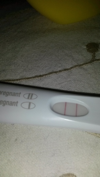 The Bumsnet/Angry Pubes Bus