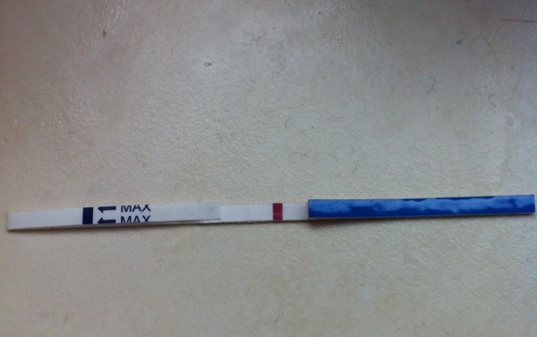 Our new greeting cards are here! We're making vaginal butter and baking in a sneaky shag from behind. Our skittletits can't hold us back - it's JS'ing 43!