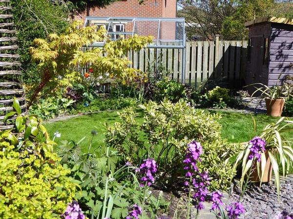 The 2015 Allotment / Veg Patch Thread Part 2