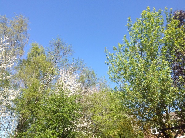 The Brave Babes Battle Bus - Shaking Off The Winter Blues And Getting Out Our Booze Free Summer Shoes!