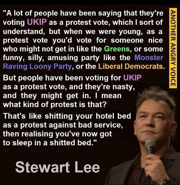 Could I vote UKIP.... if it would regenerate my town?