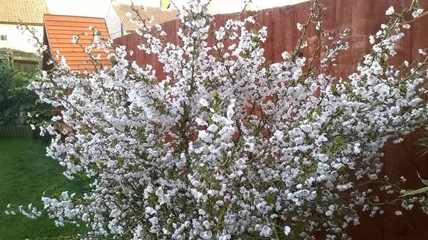 What's making your garden shine at the moment?