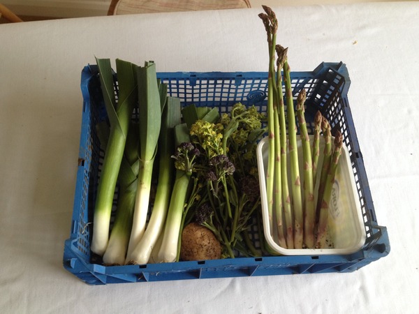 The 2015 Allotment / Veg Patch Thread Part 2