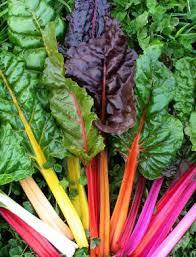 Your best veggies for pots on  a sunny patio?