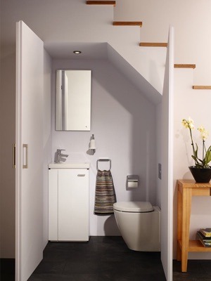 Downstairs toilet or dishwasher, what's more useful?