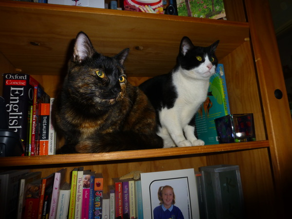 We aint no April Frugalling Fools.. There may be Showers ahead, but we'll sail through together ...