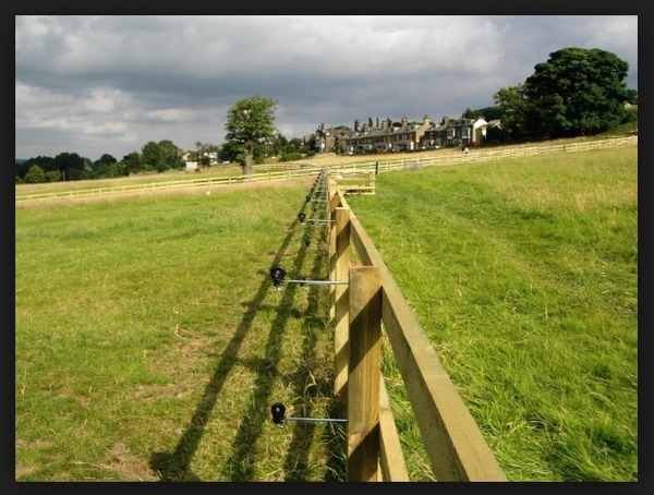 Waahhhh! Have just viewed the perfect paddock for sale...