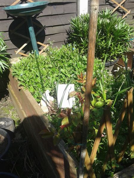 Support For Anyone That Has Lost A Parent