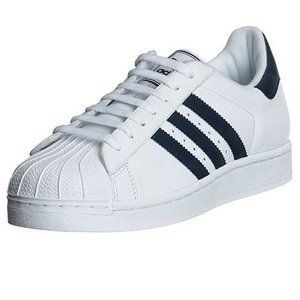 Trainers