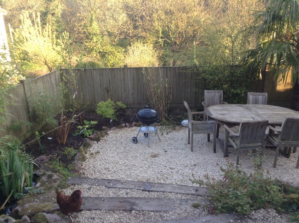Here's my half empty tropical style garden, what can I fill it with?