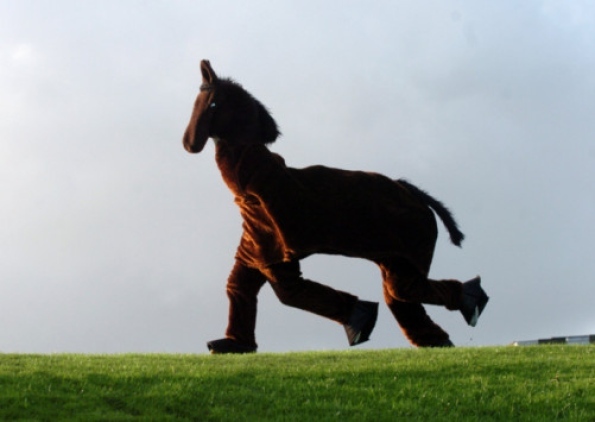 to have had a bet on the Grand National when I'm not sure I approve of the risk to the horses?