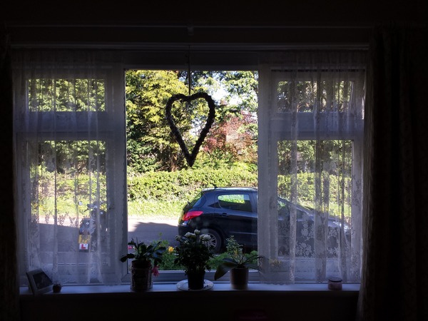 Pair Of net curtains/ voiles??