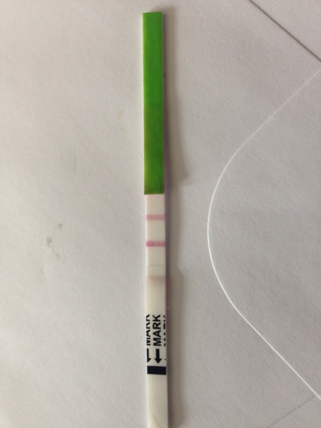 soy isoflavones or agnus castnus?