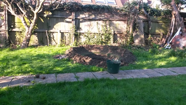 The 2015 Allotment / Veg Patch Thread Part 2