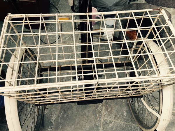 Would you do this in Strips or individual Tied bits - pics inside of basket